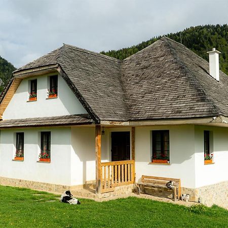 Pensiunea Hodaita Magura  Kültér fotó